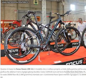 FOCUS - RAVEN  29r