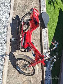 Motorino califfone rizzaro