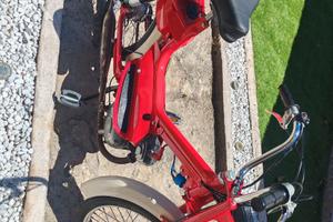 Motorino califfone rizzaro