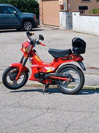 Malaguti fifty top 