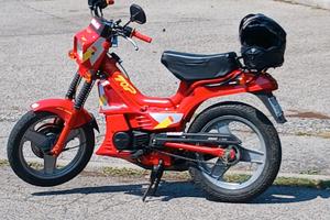 Malaguti fifty top 