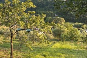 Vendita terreno Ciorlano (CE)