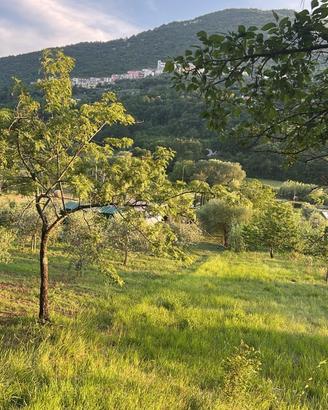 Vendita terreno Ciorlano (CE)