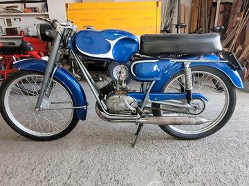 Negrini SS