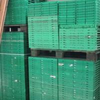 casse plastica pieghevole 