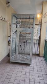 gabbia per pappagalli
