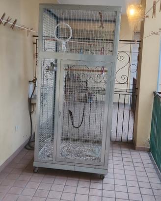 gabbia per pappagalli