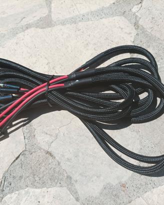 cavi per diffusori triangle synphony MT 2.5