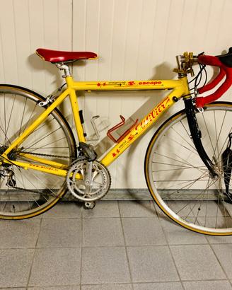 Bici da corsa Triestina Wilier