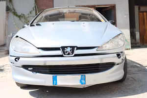 Peugeot 206 (2002)