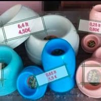 Ciotola cane / gatto