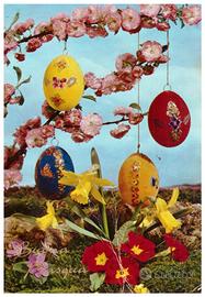 Cartolina Buona Pasqua.17