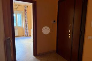 3 LOCALI A ROMA