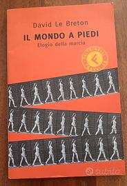Davide Le Breton - Il mondo a piedi - Feltrinelli 