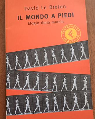 Davide Le Breton - Il mondo a piedi - Feltrinelli 