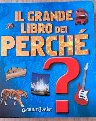 Il grande libro dei perché, Ed. Giunti Junior