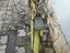 Immagine 2