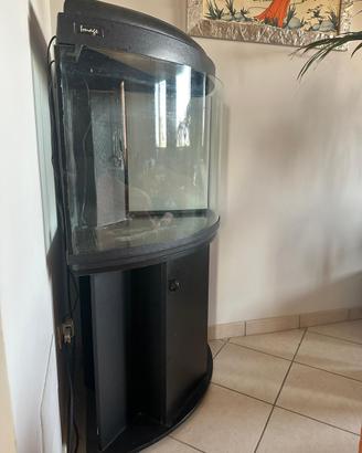 Acquario Image Angolare