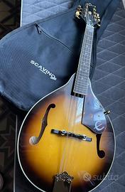 Mandolino Epiphone