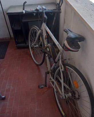 Bicicletta atala