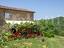 Immagine 3