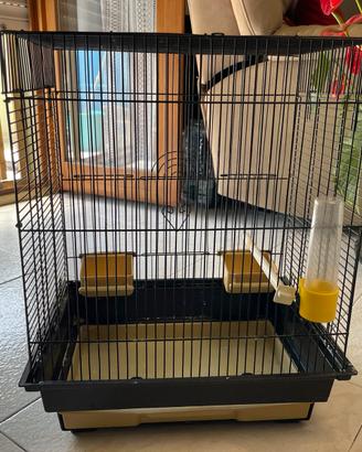 Gabbiette per uccelli