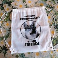 Borsa/sacca cane lupo cecoslovacco 
