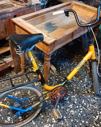 Bicicletta Pieghevole Tipo Graziella