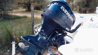 EVINRUDE 115 Ficht Ram - perfetto