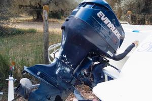 EVINRUDE 115 Ficht Ram - perfetto