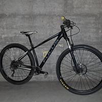 MTB 29 - tg S -Focus