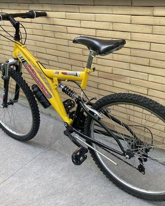 Bicicletta mountan bike per ragazzo