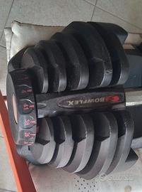 Peso Bowflex