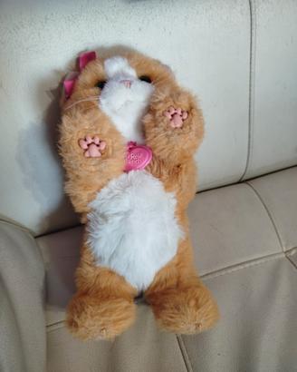 Gattina daisy fur real friends