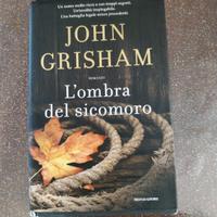 l' ombra del sicomoro 