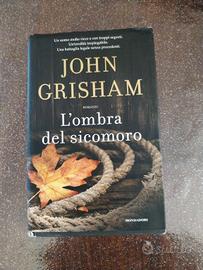 l' ombra del sicomoro 