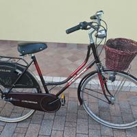 Bicicletta da donna