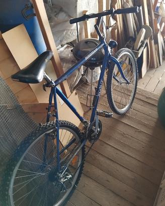 bici MTB da uomo 