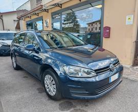 Volkswagen Golf Variant Business 1.6 TDI 110 CV DS
