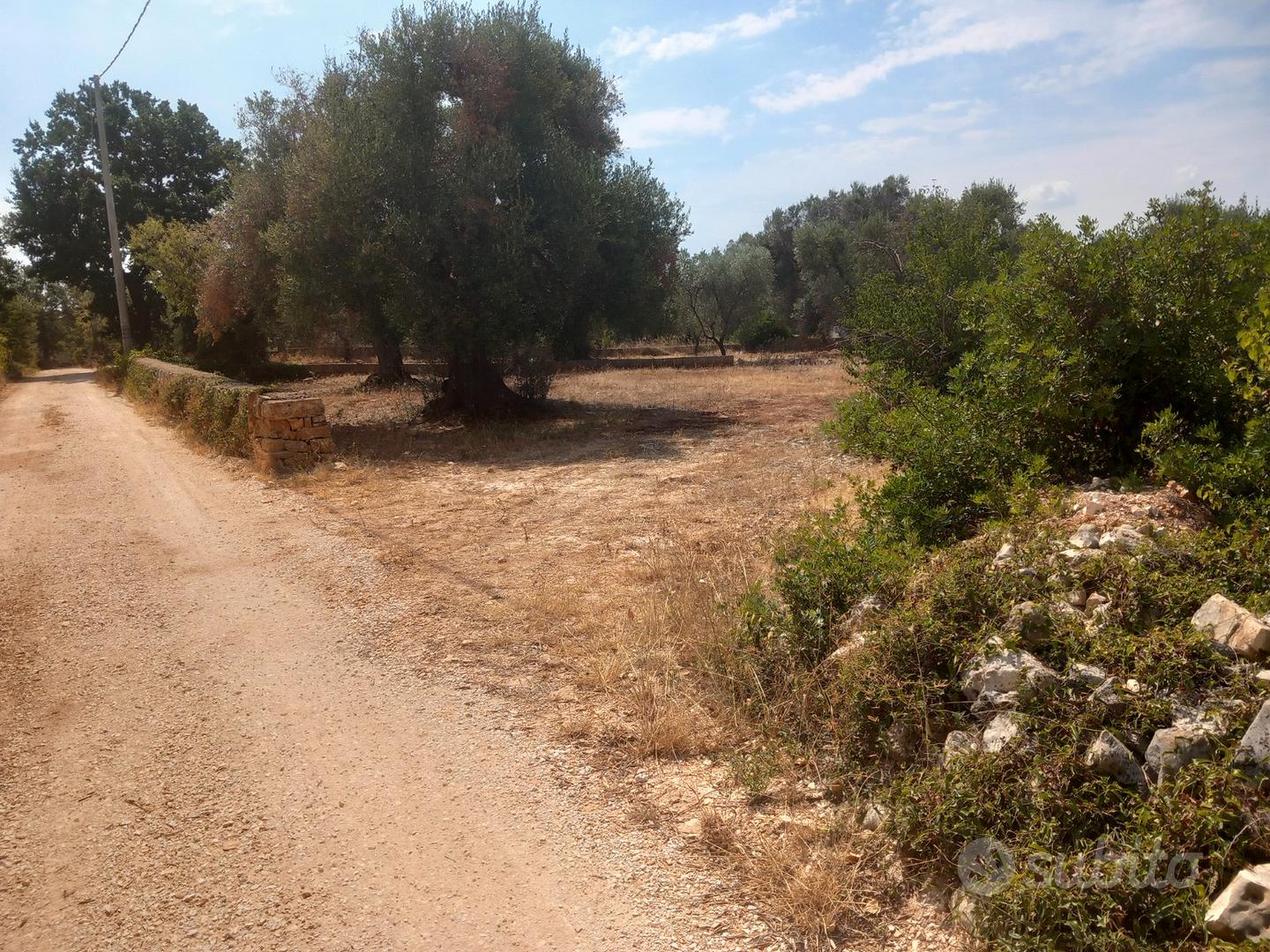 Vendita di terreno Ostuni in contrada Lamatroccola - Vista 2