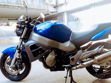 Splendida Honda X11
