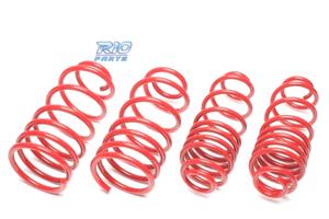 KIT MOLLE SPORTIVE PER HONDA