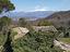 Immagine 17