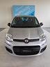 fiat-panda-1-2-pandazzurri