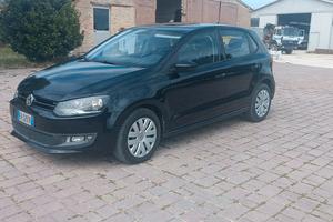 polo 6r