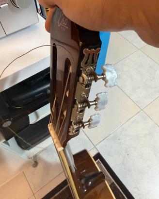 Chitarra eko