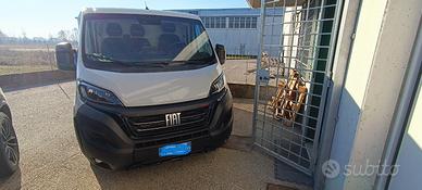 Ducato serie 8