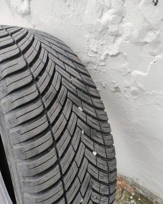 gomme 