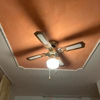 Ventilatore a soffitto