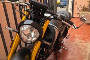 F.B. Mondial HPS 125 - 2024